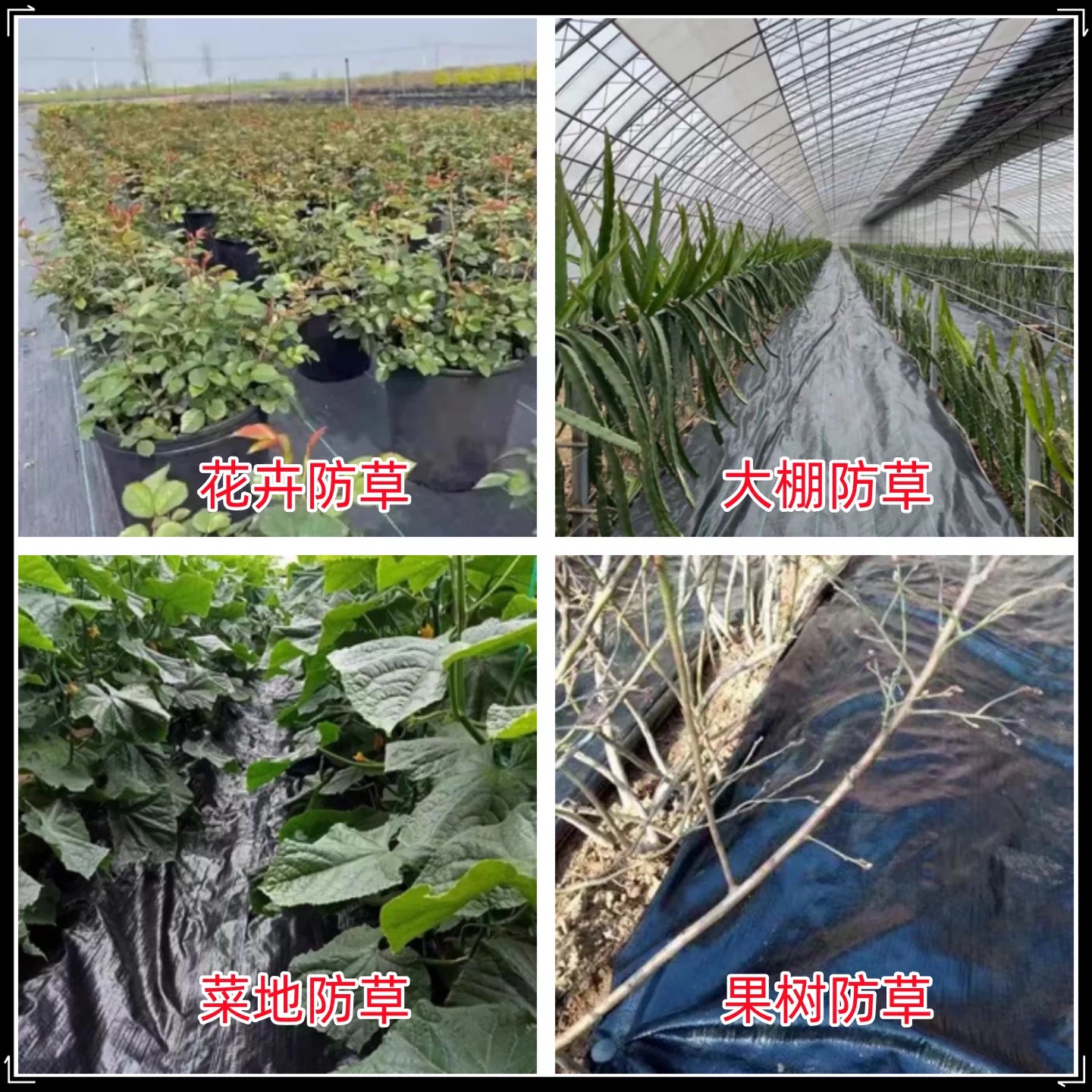 南京市黑白养殖膜防草布 - 价格