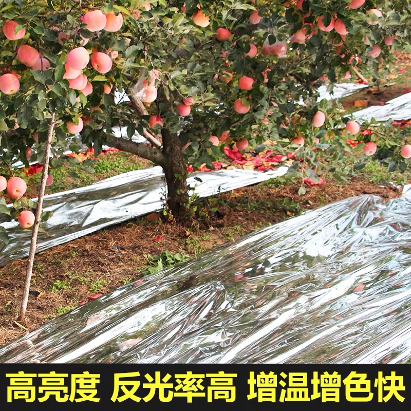 南京市塑料薄膜果树反光膜 - 一站式服务